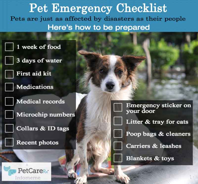 source: https://cdn.petcarerx.com/LPPE/images/articlethumbs/Pet-Emergency-Checklist-PetCareRx.jpg