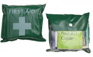 Off-Site Travel First Aid Kit in vinyl wallet