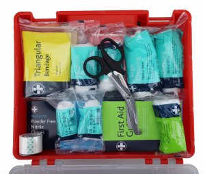 what is inside a british standard first aid kit