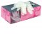 Box of 100 Disposable Vinyl Gloves Clear